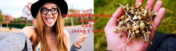 синтетический гашиш Балахна