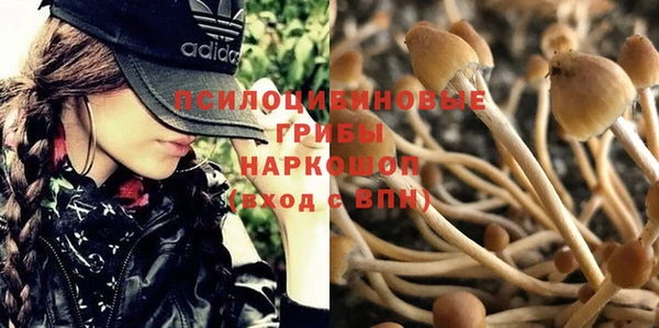 соль курить ск Баксан