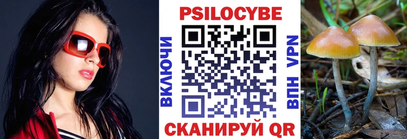 Псилоцибиновые грибы Cubensis  Спасск-Рязанский 